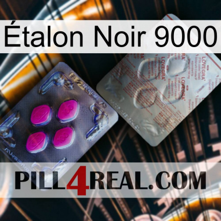 Étalon Noir 9000 38